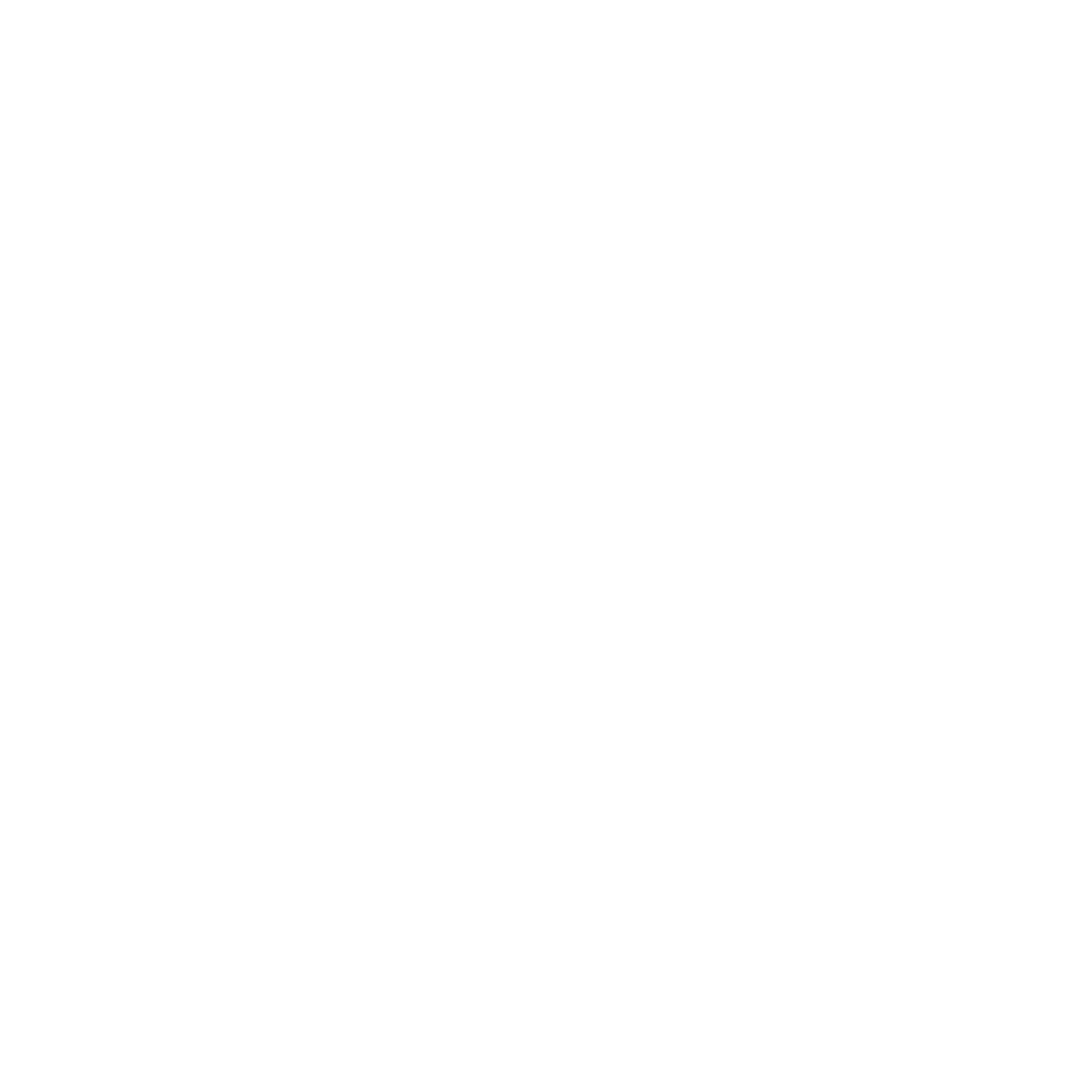 CSWA Group of Companies white logo